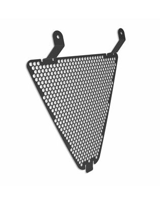 Protective mesh for water radiator