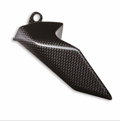 Carbon chain guard