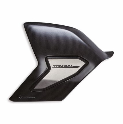 Carbon and titanium swinging arm cover