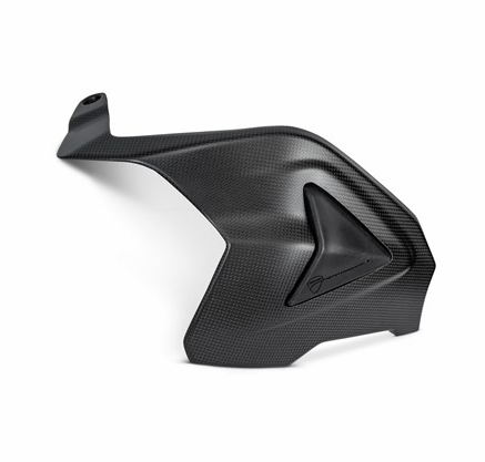 Carbon swingarm guard.