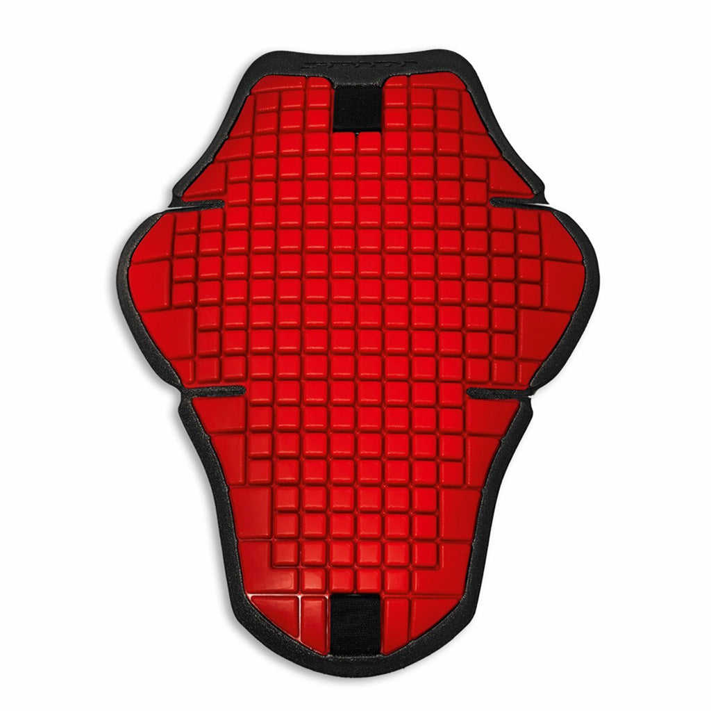 Warrior 2 Back Protector Red